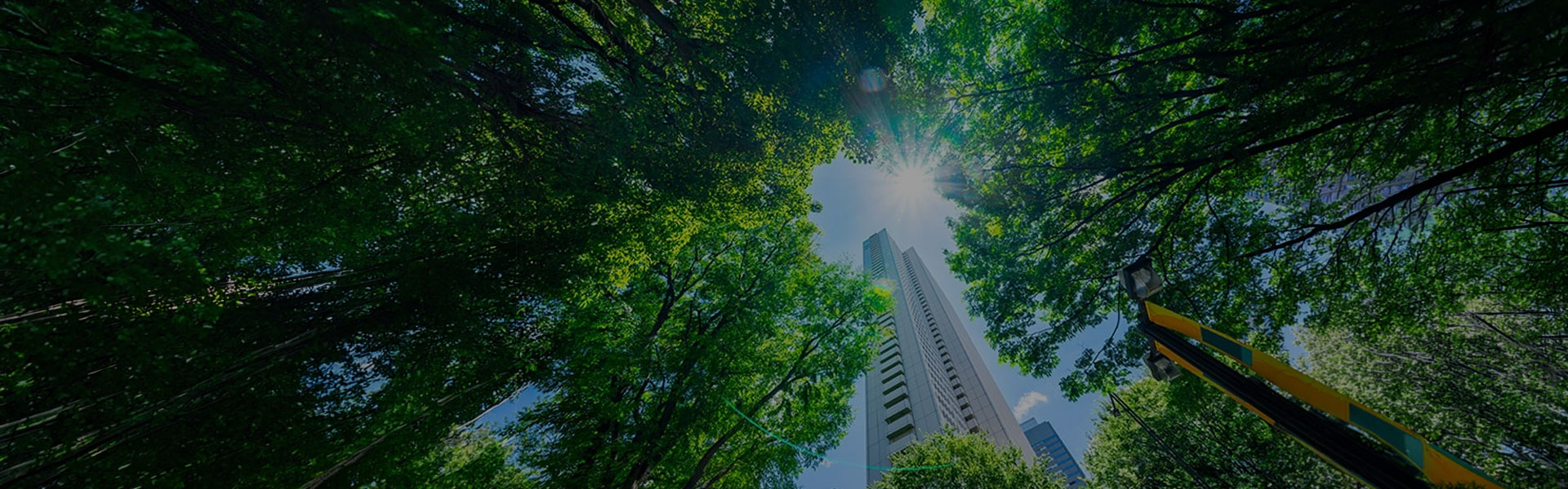 Green Cement for a sustainable future of construction!